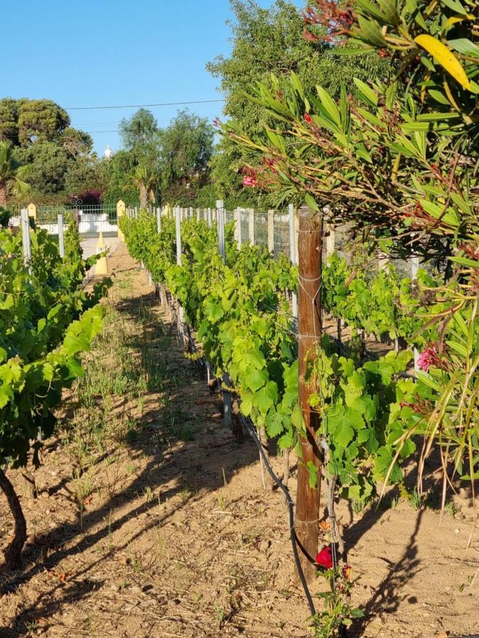 Casa Bela Moura, Boutique Hotel & Wine بورش المظهر الخارجي الصورة